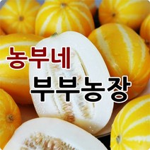 농부네 부부농장 성주참외 2kg 5kg 10kg 산지직송, 12.참외 10kg 가정용 중과(박스포함)