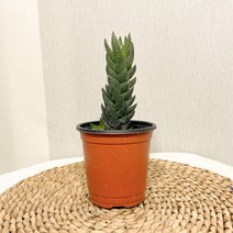 마타마타 예초기 용품 벌초 제초 예초용 용발톱 날