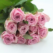 헤라 장미꽃 생화택배 (고속터미널꽃시장 직배송) 꽃예꽃, 비슷한 느낌의 꽃으로 변경(다른꽃or다른색), 금~일요일 구매시 (화요일 도착)