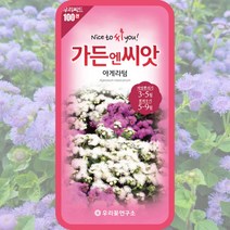 아게라텀 씨앗 100립 꽃씨 몰 불로화 멕시코엉겅퀴 풀솜꽃 종자 ageratum 종자, 단품