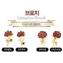 [CL]핑크골드 카네이션 브로치 카네이션꽃