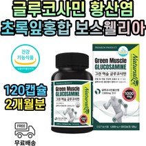 뉴질랜드 초록 홍합 글루코사민 관절 영양제 50대 40대 30대 20대 남성 여성 남자 여자 무릎 허리 손목 손가락 뼈 발목 골반 연골 건강 영양제 중년 갱년기 노인 뼈에좋은