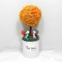 꼬시상점 천연이끼 모스트리 A, 주황