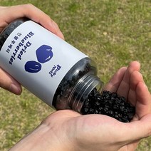 피키너츠 건크랜베리 건블루베리 건과일, 프리미엄형 블루베리 490g, 1개