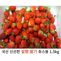 국내산 신선한 쥬스용 설향 생딸기 1.5kg 국산 가성비 좋은 딸기 산지직송 가정용 영업용, 쥬스용 딸기 1.5kg 내외