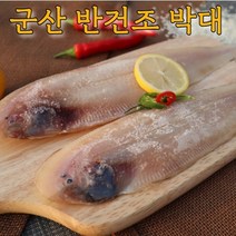 군산직송 반건조 박대 서대 구이 찜 40cm내외 크기선택 말린생선 8-10미 골라담기, [특대] 박대 32~35cm내외 x 8마리