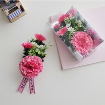 어버이날 스승의날 카네이션 행사용 선물용 판매, C5핑크카네이션+케이스