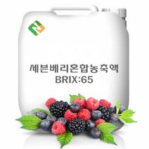 세븐베리혼합농축액 20kg, 단품