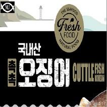 기타 국내산 촉촉오징어 200g*8팩(팩당3마리)/ 총 24마리, 1