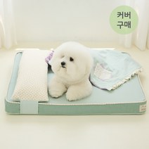 [겉커버 모음] 뭉밍 강아지 메모리폼 침대 고양이 방석, 사계절/여름 겉커버, 민트 L, 겉커버 구매 (충전재 미포함)