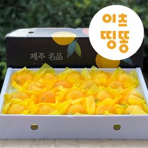 가정용 산지직송 제주도 서귀포 고당도 황금향 타이벡 극조생 노지 감귤 밀감 3kg 5kg, 타이벡감귤, 9kg(로얄과)