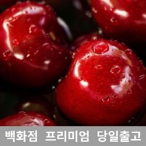 가락청과네 체리 2kg 바이오 생체리 가격 과일, 쿠S 1, 쿠S 본상품선택