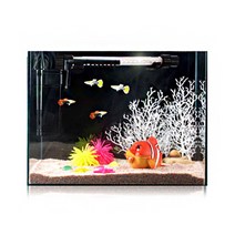 [미미네아쿠아] [기타브랜드]핑크오션 구피세트 (중)