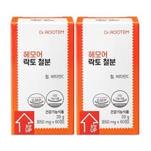닥터루템 헤모어 락토 철분 비헴철 철분제 2박스, 단품