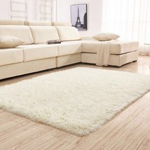 DFMEI 롱 퍼 카펫 거실 침실 침대 옆 카펫 매트