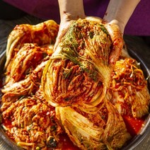 당일 담가 보내드리는 맛있게 매운 습습 실비김치, 5kg, 1개