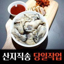 최상급 통영 생굴 당일채취 1kg, 2kg, 1개