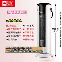 가정용냉온풍기 낙타 온풍기 냉온겸용 가정용 절전형 거실 열풍기 대면적 겨울 급속난방 히터, 기본, T02-70CM기계 알레스강화이트 일