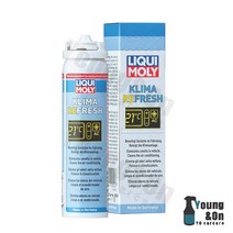리퀴몰리 자동차 에어컨 냄새 탈취 및 제거제 클리마 리프레쉬 (PN 20000)