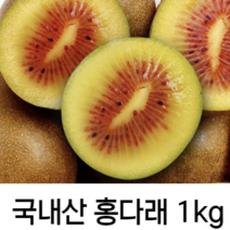 국내산 제주 고당도 레드키위 홍다래 1kg 2kg 3kg 고품질 선물세트 제주산 중대과 국산 달콤함의 끝판왕 레드 키위 제철 과일 명절 선물 세트, 1kg/중대과(개당 85g내외)