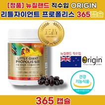 입안 목 면역력 염증 에 좋은 높이는 영양제 폴리폴리스 아연효능 뉴질랜드 프로폴리스 복용 먹는 법