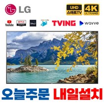 LG전자 2020년 75인치 4K UHD LED 스마트 TV, 수도권외스탠드설치