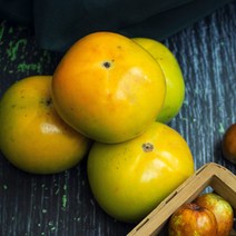 창원 태추 단감 2kg ~ 5kg 창원단감 배단감 대추단감 태추감 배감 생감 햇단감 햇감 초록감 초록단감 못난이단감 창원감 선물용과일, 못난이, 4kg 22-28과 소과