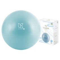 아리프 PVC 안티버스트 임산부 짐볼 45cm 요가 운동볼, 코튼 블루