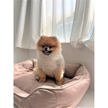 라니온 반려동물 강아지 방석 대형견 꿀잠 쿠션, 베이지