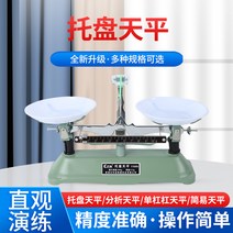 에스알인터내셔날 수평 계량 영점저울 앉은뱅이저울 천칭 저울 비율 무게측정 평형, 100그램