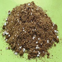 Bamboo Bonsai Plant Potting Soil Mix Peat Moss Perlite (½ Gallon 2 quarts) from Baby Violets, 1