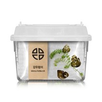 자연학습 강우렁이 관찰세트 과학탐구, 단품