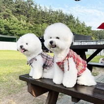 쥬비코 플레이드 지지미 블라우스 반려견블라우스 강아지블라우스, 카키 - XL