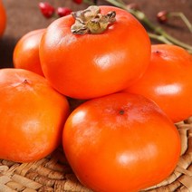 [초록자연] 경북 청도 반시 5kg 특(26-30과) 과일선물, 상세 참조