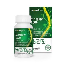 플러스 보스웰리아 비타민D3 90정 코랄칼슘 마그네슘 아세틸 글루코사민 보스웰릭산