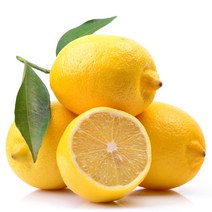 레몬주문 가격비교 구매