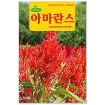 허브 씨앗 택1 (라벤다/로즈마리/레몬밤/마조람/바질/스피아민트/세이지/에키네시아/차이브/카모마일/코리안더/타임/페퍼민트/히솝/아마란스), 99번 아마란스 3000립