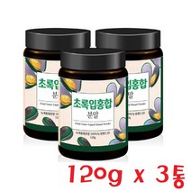 뉴질랜드 초록입홍합 분말 그린 머슬 녹색 푸른잎 3통
