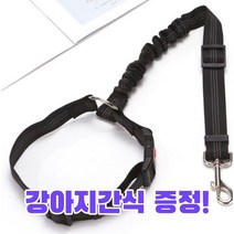 강아지 안전벨트 차량용 반려견 목줄 애견 충격흡수 리드줄, 그레이+츄르영양제