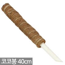 몬스테라 수태봉 코코봉 연결형 식물지지대 지주대 (40cm 50cm 70cm 90cm ), 수태봉 40cm, 1개