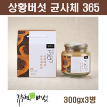 국내산 상황버섯 가루 분말 목질진흙버섯 균사체 베타글루칸 린테우스 추출물 원액 액기스 뽕나무 찔레 참나무 상황버섯차 약용버섯 효능, 3병, 300g