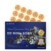 부치카 천연 게르마늄 동전패치 샤워볼증정 고급동전패치 보석패치, 1개, 15매