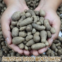안동 햇 산마 영양만점 산속의장어 싱싱한 뮤신가득 산지직송, 1박스, 마씨앗 2kg