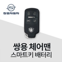 체어맨 스마트키 건전지 키 전용배터리 차키 건전지 밧데리, 5개