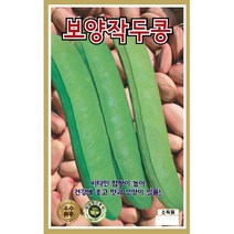 옥수수/콩/곡류 씨앗] 작두콩 보양작두콩 10립