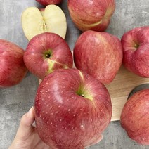 달티어 안동사과 홍로사과 부사 가정용 5kg, (정품) 홍로 중대과 12-16과 5kg