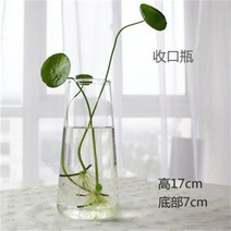 수경재배화병 식물 키우기 꽃병 손으로 만든 유리 물고기 탱크 수족관 컨테이너, h