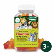[네추럴라이즈/본사당일출고] 면역건강 온가족 맛있는 어린이 키즈 영양제 멀티비타민 꾸미 캐나다산 225g 3병, 3개