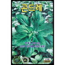 곤드레씨앗100립 고려엉겅퀴 KS종묘
