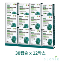엔젯오리진 하이큐 포스파티딜세린 징코 800mg x 30캡슐 x 12박스